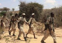 Ciidanka xooga dalka oo burburiyay fariisimo ay Alshabaab ku lahaayeen deeganka Saaydheeloow ee gobolka Baay