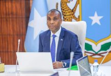 Golaha Wasiirrada XFS oo Meel-mariyay laba Heshiis oo mid ka mid ah uu Dhex-maray Somalia iyo Turkiga: SAWIRRO